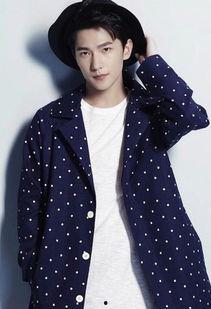 杨洋近期爆料新闻,揭秘娱乐圈背后的真相与挑战  第2张